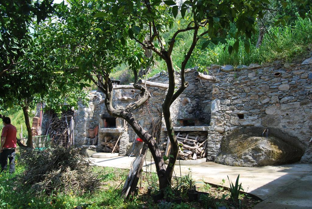 Al Melograno B&B Belmonte Calabro Chambre photo