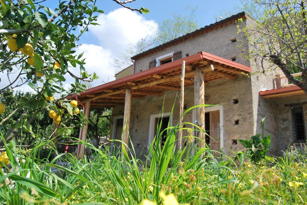 Al Melograno B&B Belmonte Calabro Extérieur photo
