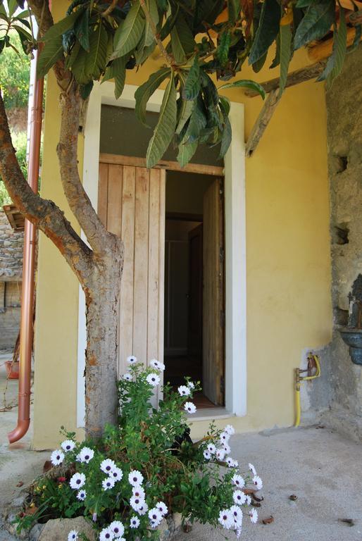 Al Melograno B&B Belmonte Calabro Extérieur photo