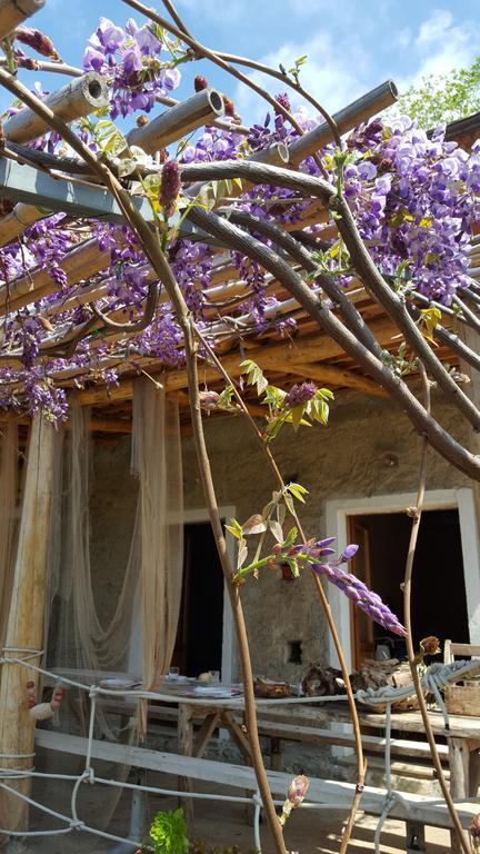 Al Melograno B&B Belmonte Calabro Extérieur photo